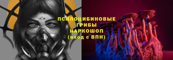 spice Алексин