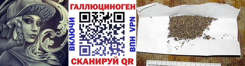 как найти закладки  Заволжье  Псилоцибиновые грибы GOLDEN TEACHER 