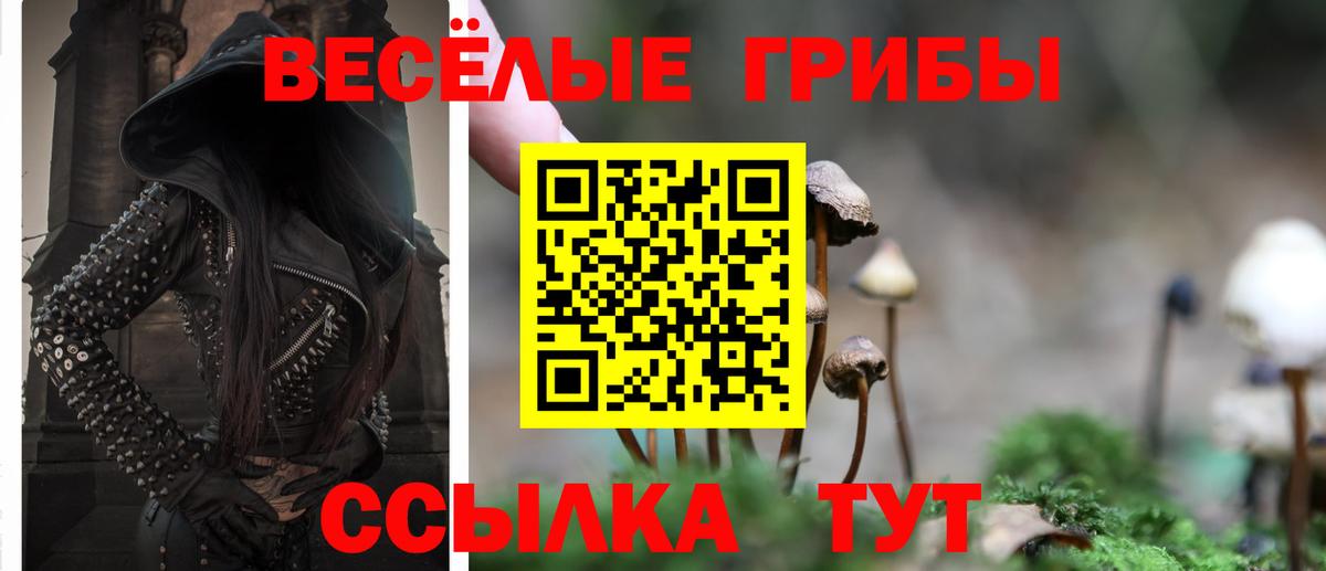 Заволжье  Галлюциногенные грибы ЛСД  Галлюциногенные грибы мицелий  Вход с VPN 